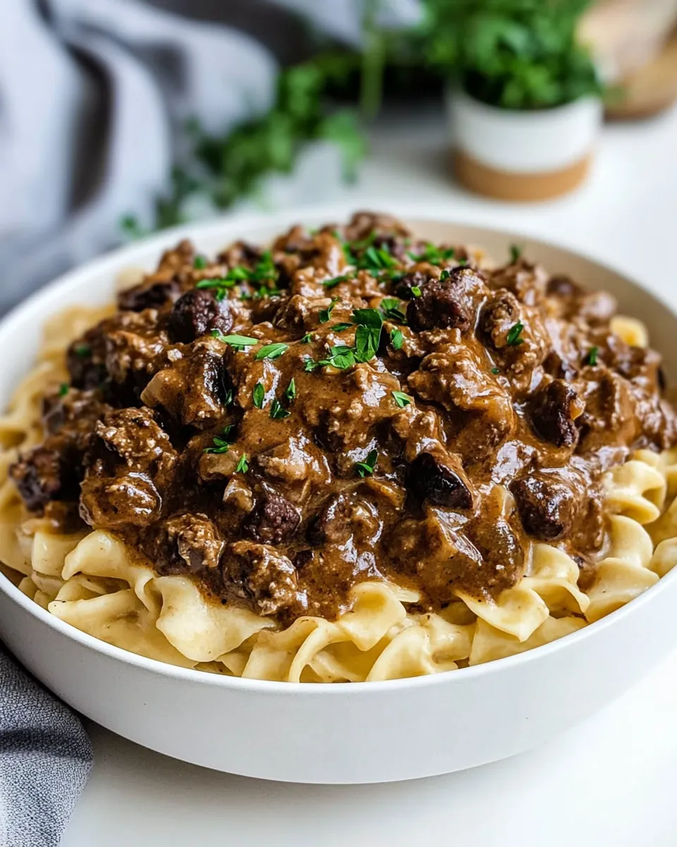 Homemade Hamburger Stroganoff photo