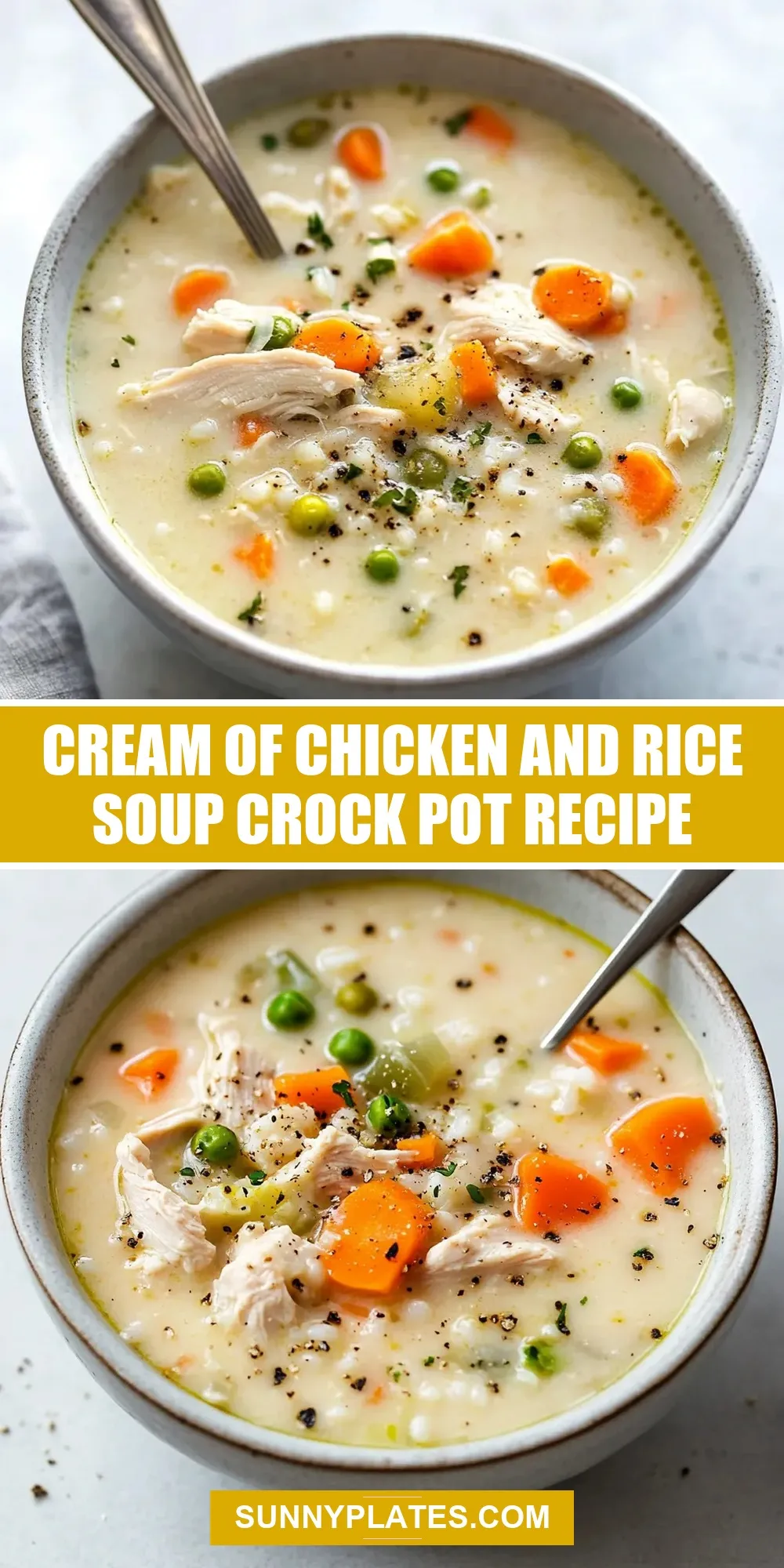 How To Make Savory Cream Of Chicken And Rice Soup Crock Pot
