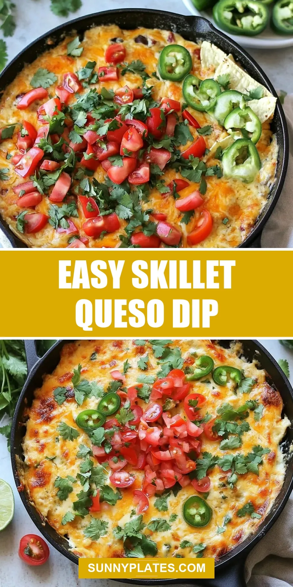 Healthy Easy Skillet Queso Dip