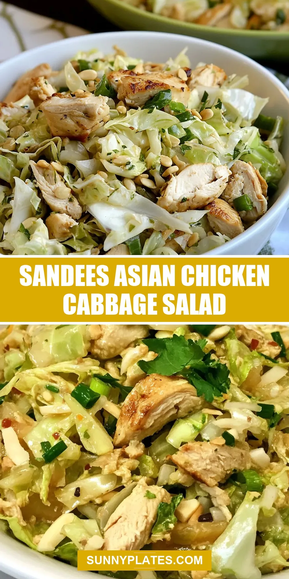 Sandees Asian Chicken Cabbage Salad (Amazing & Delicious)