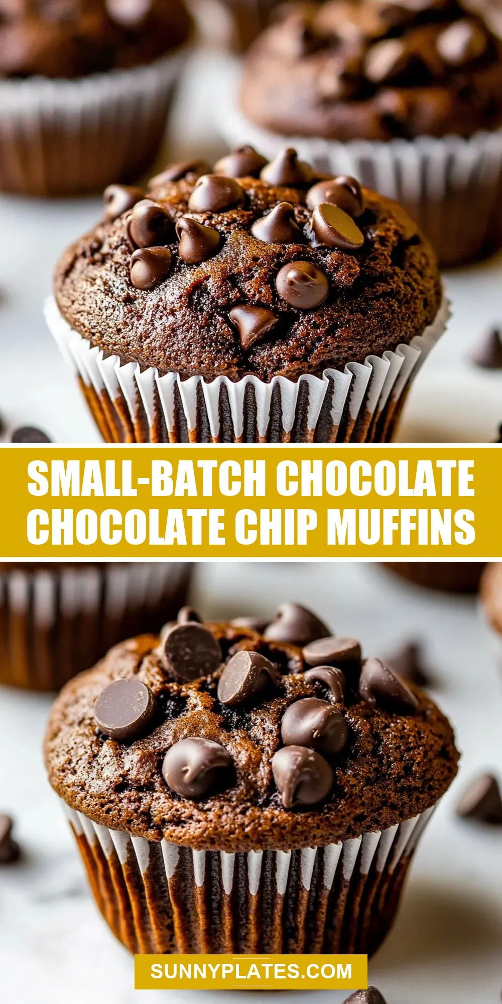 Small-Batch Chocolate Chocolate Chip Muffins Recipe