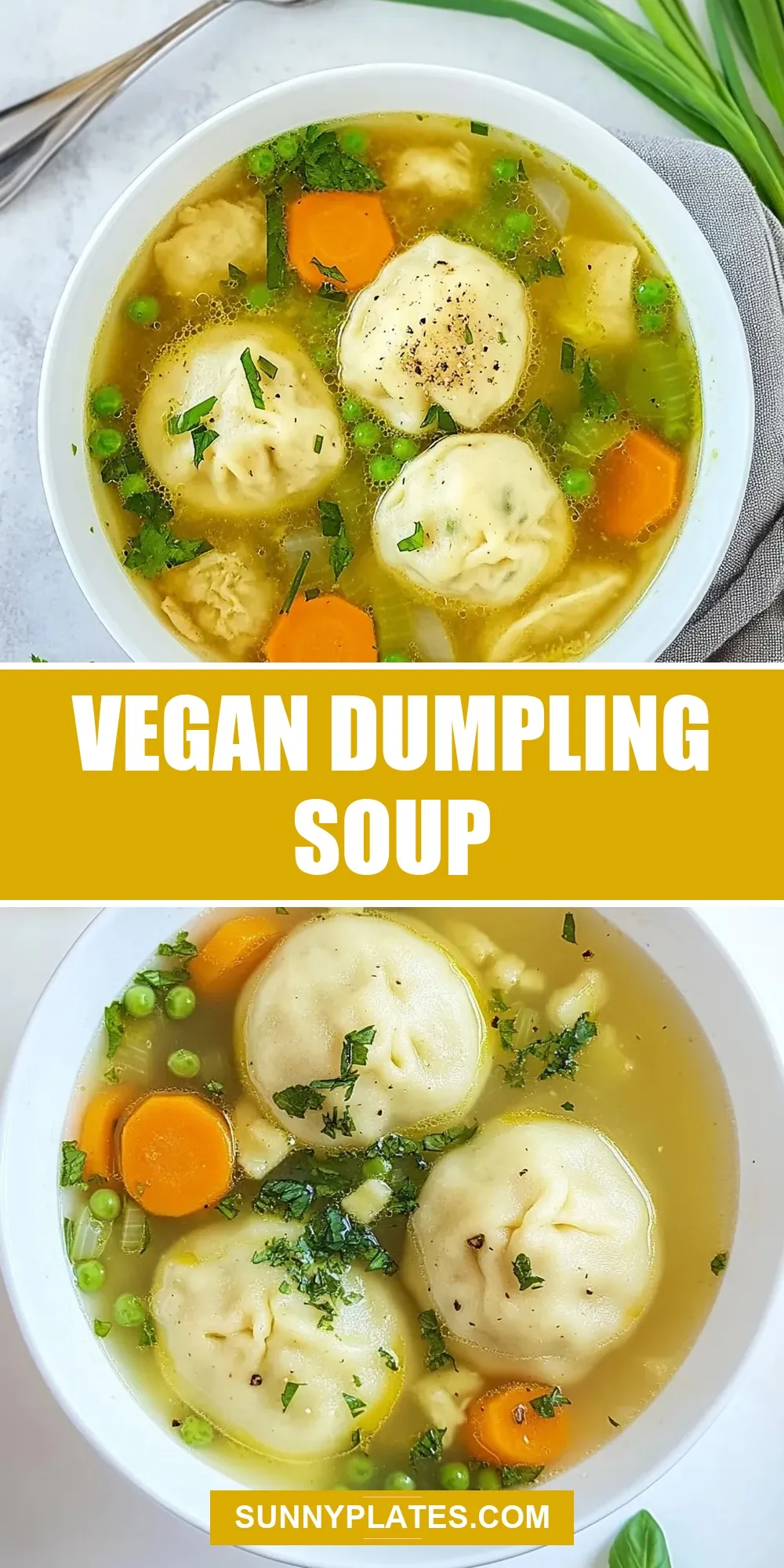 Easy Vegan Dumpling Soup Recipe
