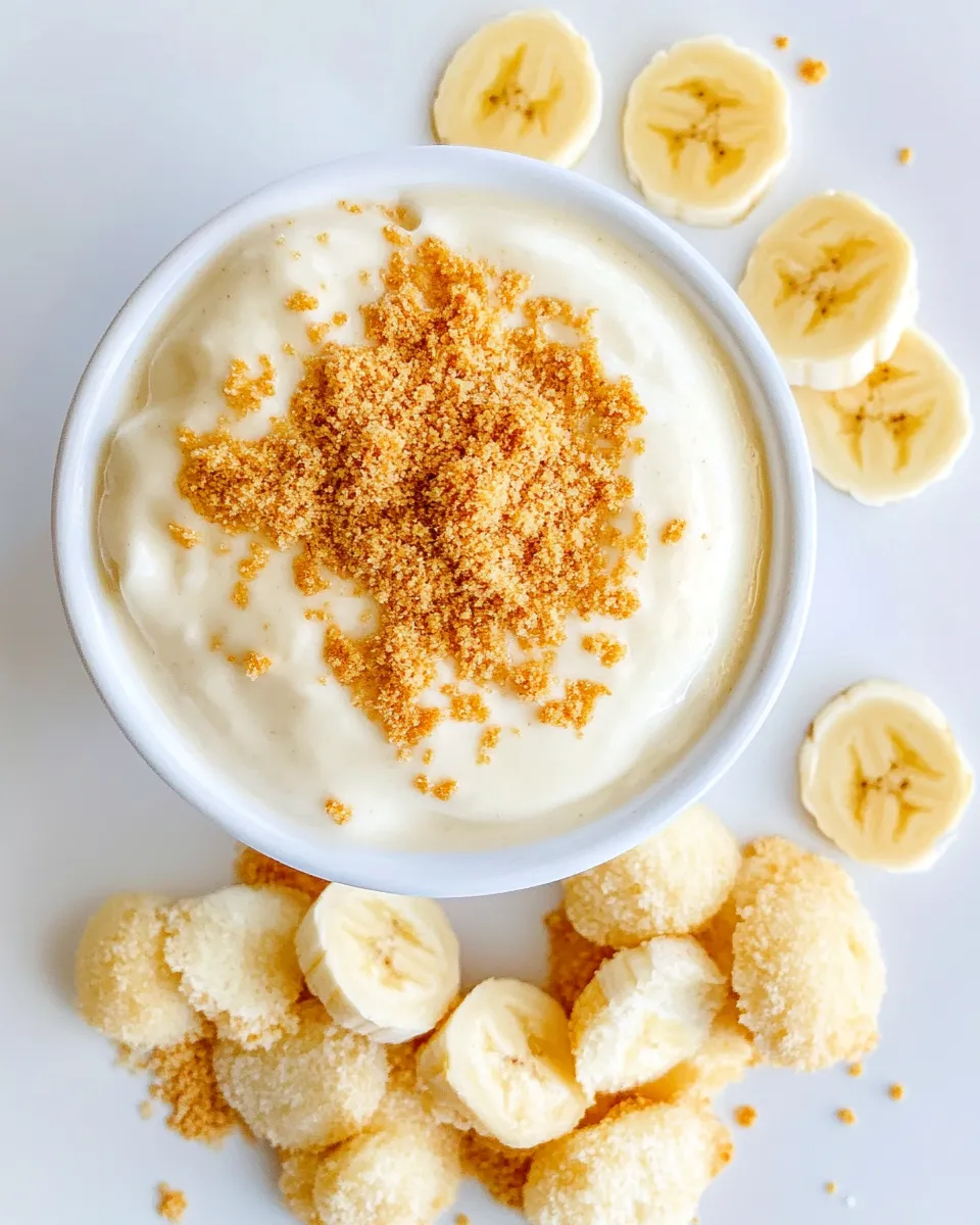Classic Banana Pudding Dip shot