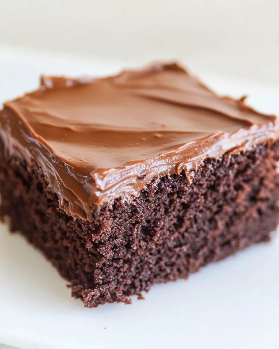 Homemade Chocolate Scratch Cake photo