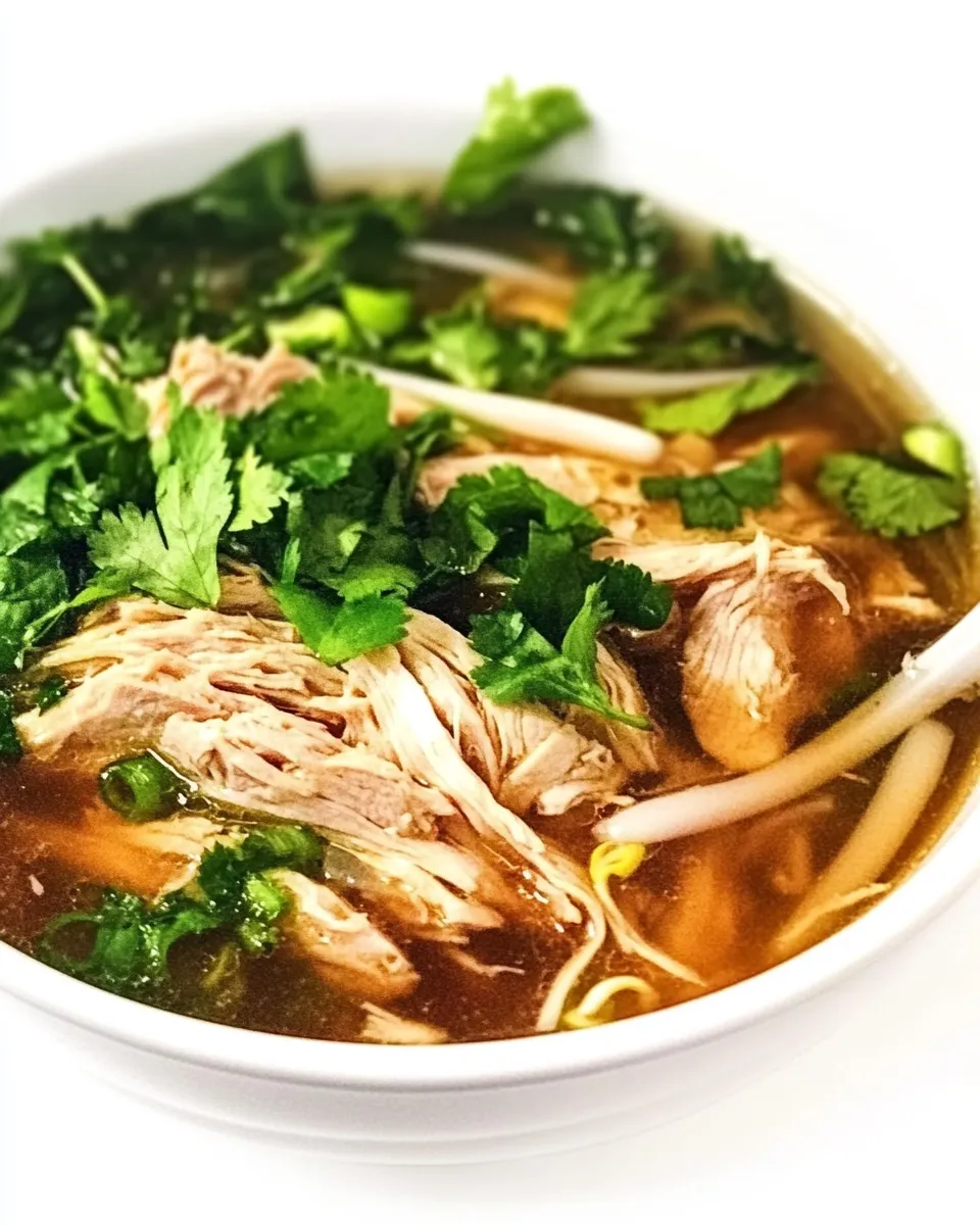 Homemade Instant Pot Vietnamese Chicken Pho photo