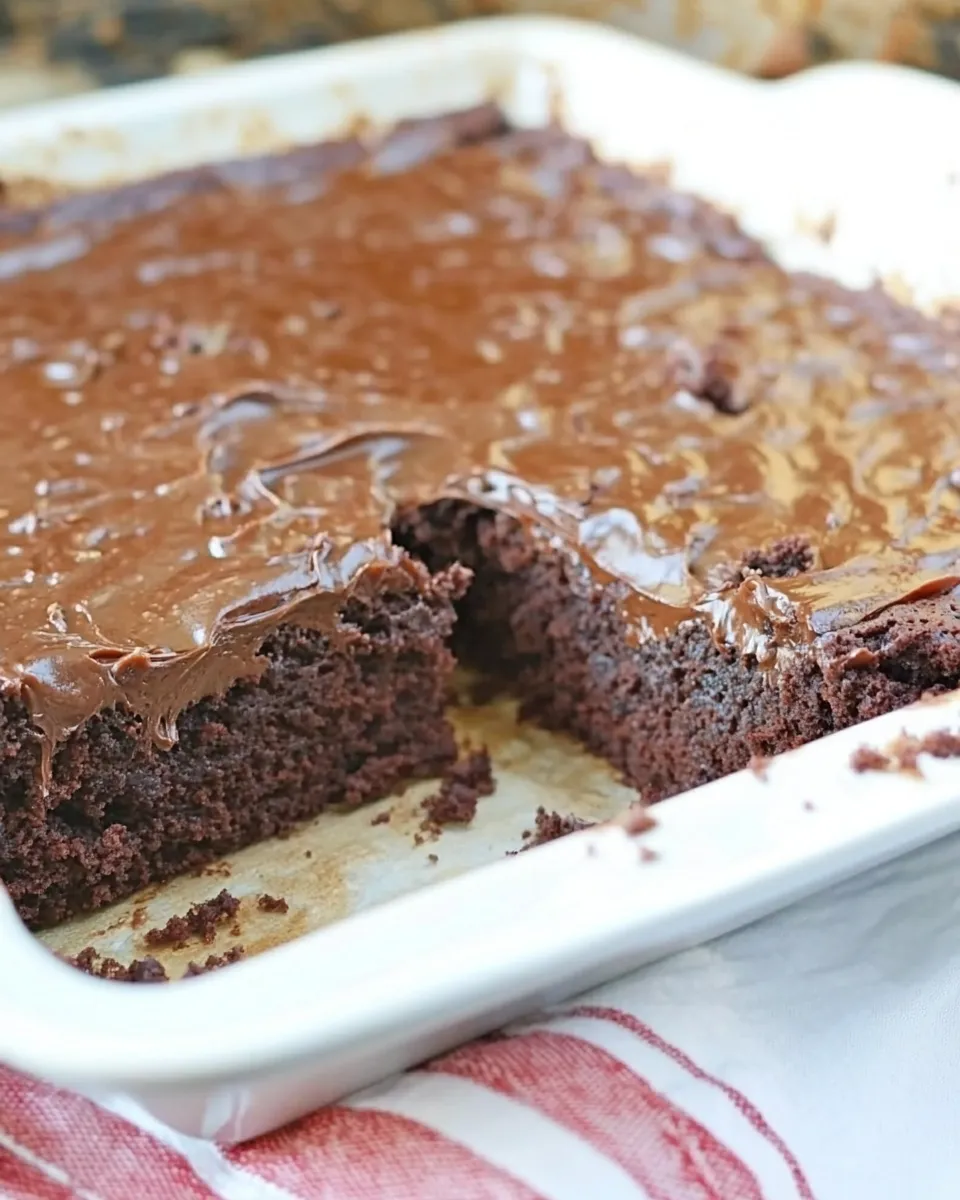 Homemade Low Carb Chocolate Cake photo