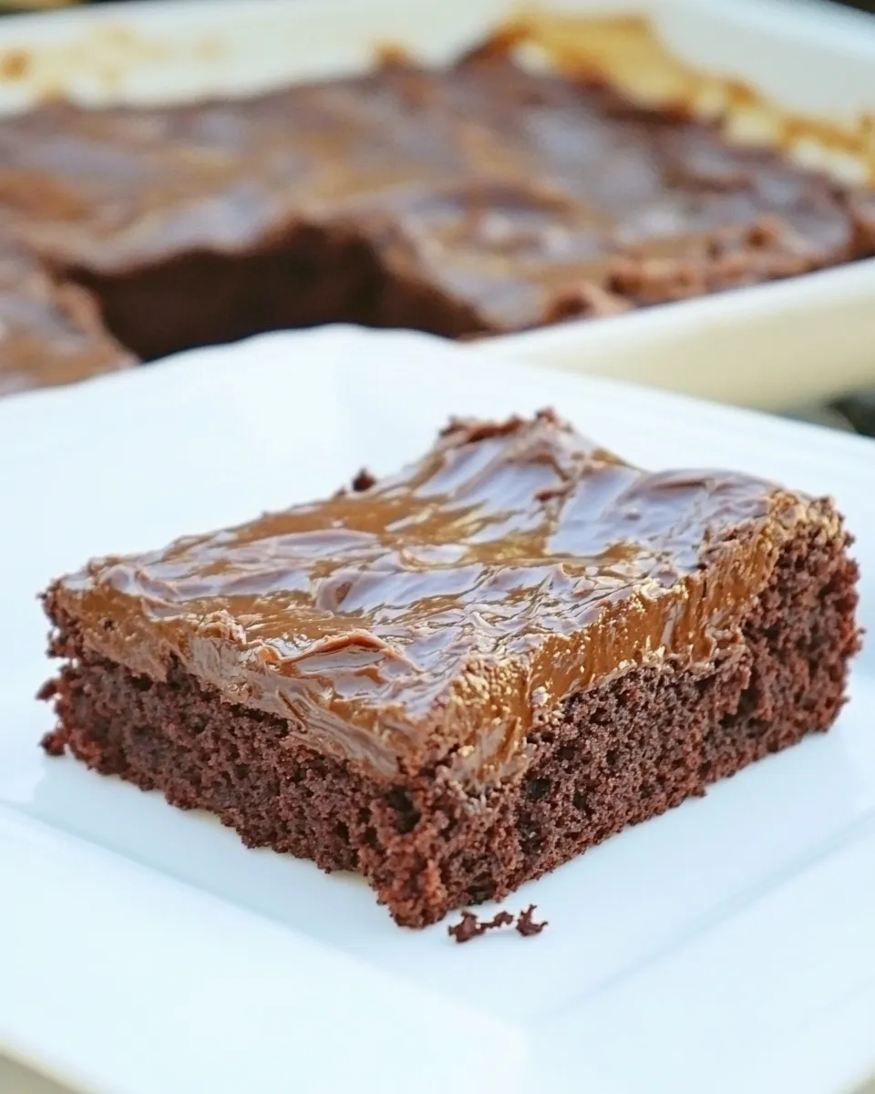 Easy Low Carb Chocolate Cake recipe photo